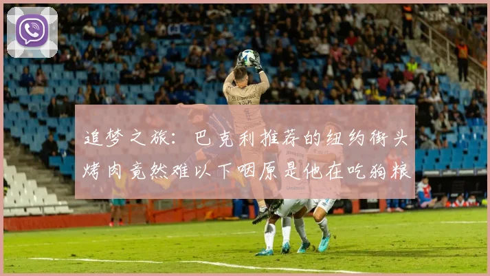 追梦之旅：巴克利推荐的纽约街头烤肉竟然难以下咽原是他在吃狗粮